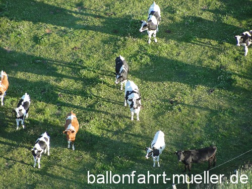 khe ballonfahrt worpswede
